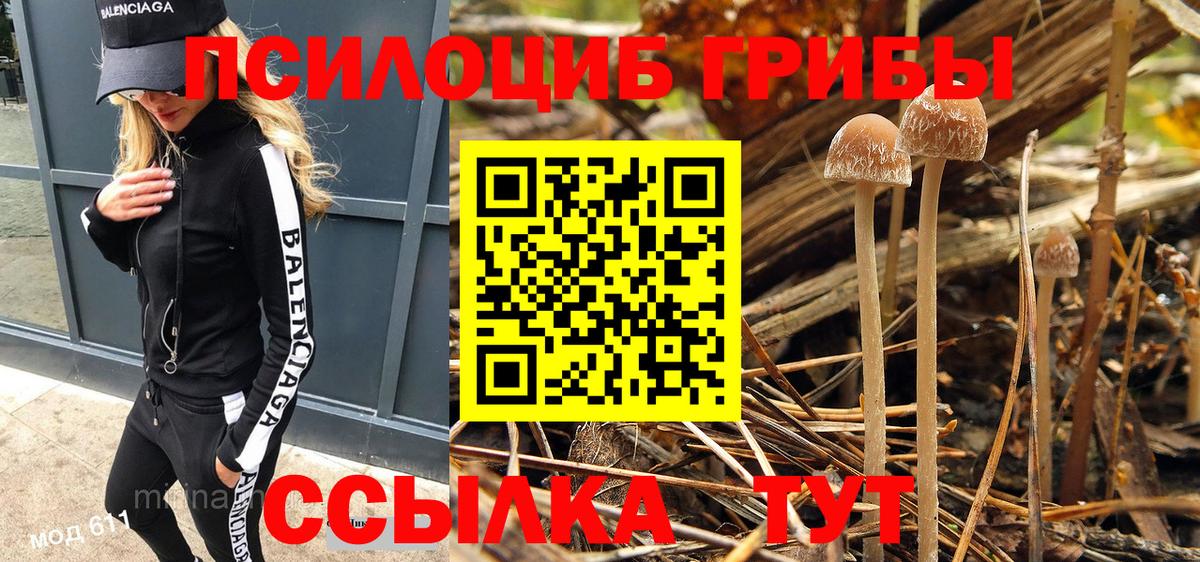 Галлюциногенные грибы Magic Shrooms Назрань